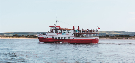 Ferry pictured cruising on the sea with beach in background